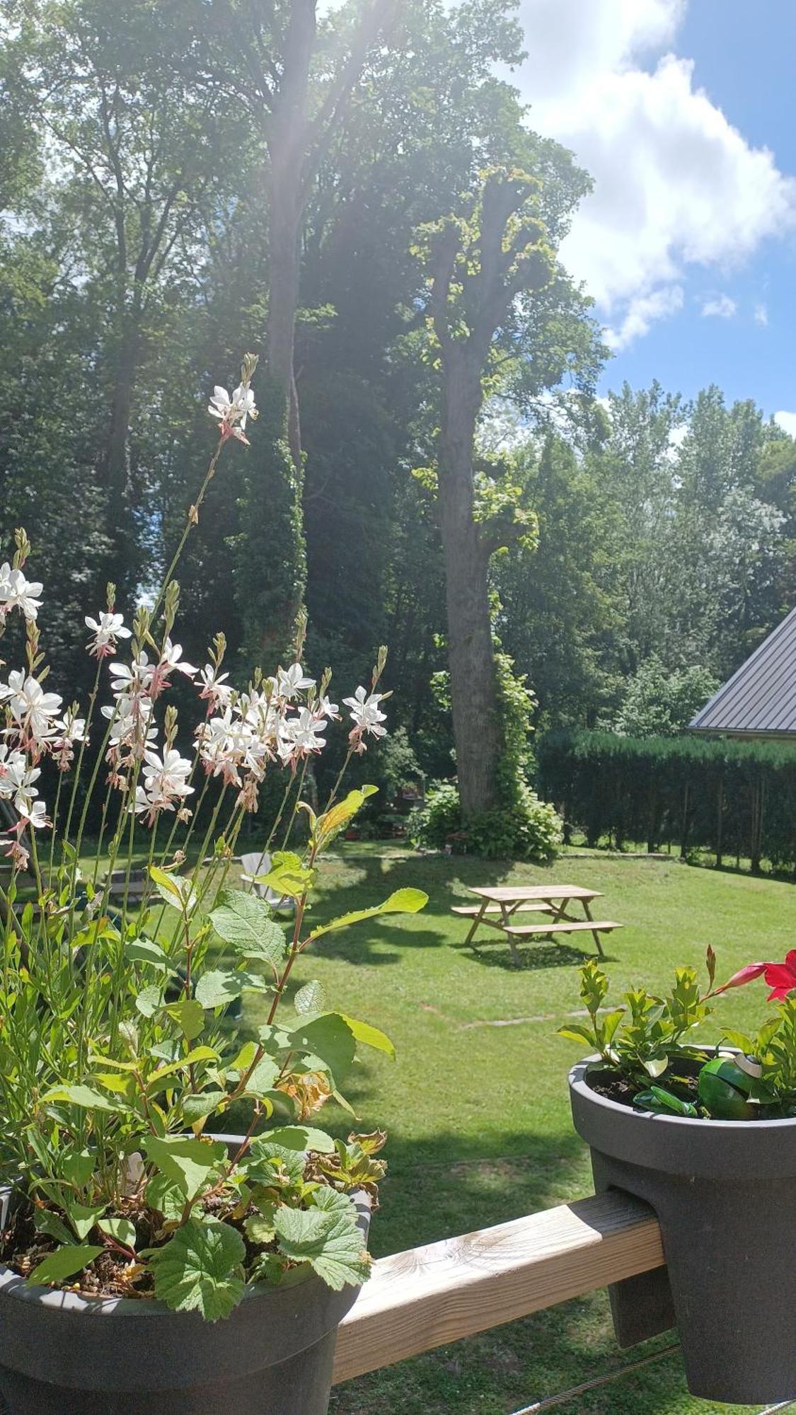 L'Hothentique Proche Arras Bed and Breakfast Saint-Laurent-Blangy Esterno foto